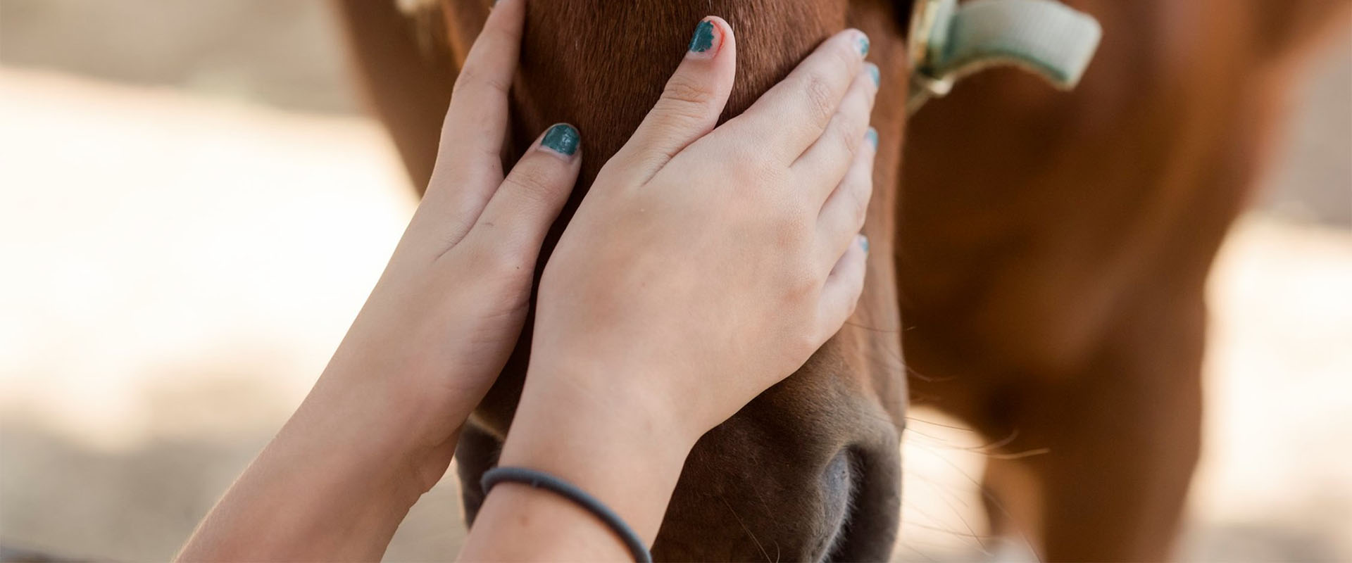 women holds horse muzzle 